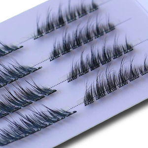 The Lash Plans Bundle