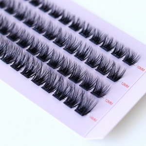 The Lash Plans Bundle
