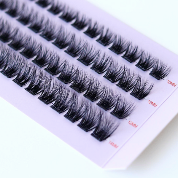 The Lash Plans Bundle