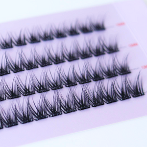 The Lash Plans Bundle