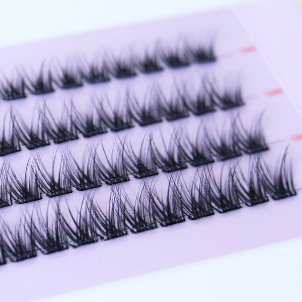 The Lash Plans Bundle