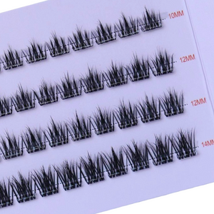 The Lash Plans Bundle